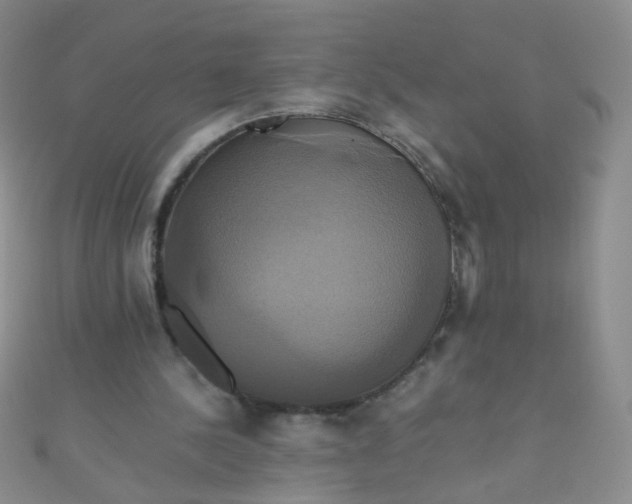 X0000110990244200907022122