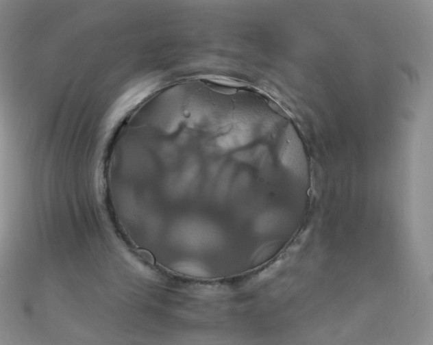 X0000110990245200907022122