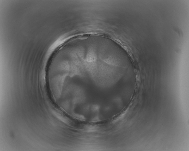 X0000110990246200907022122