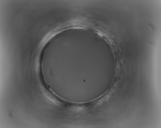 X0000110990247200907022122