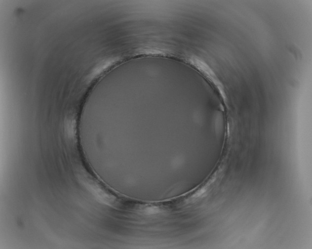 X0000110990249200907022122