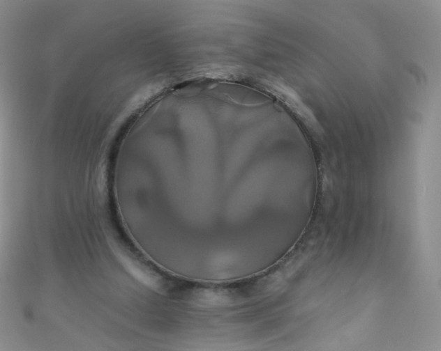 X0000110990250200907022122