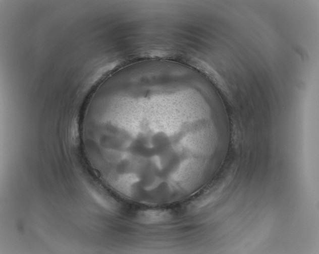 X0000110990251200907022122
