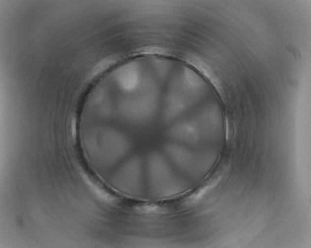 X0000110990253200907022122