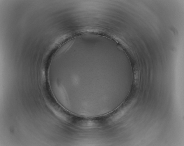 X0000110990254200907022122