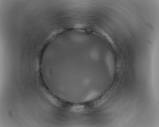 X0000110990257200907022122