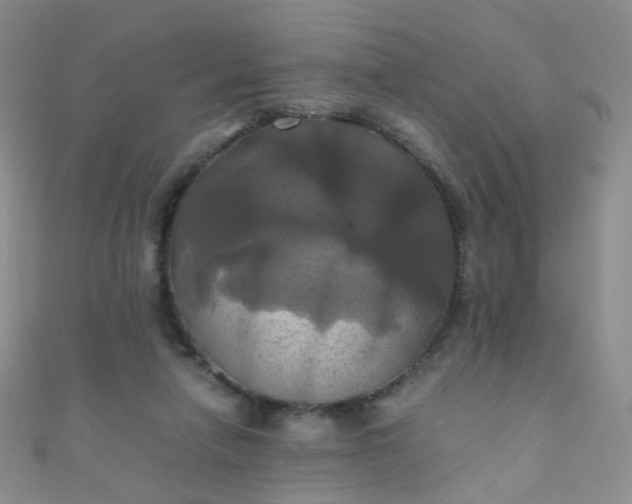 X0000110990258200907022122