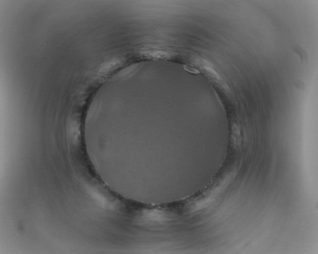 X0000110990259200907022122