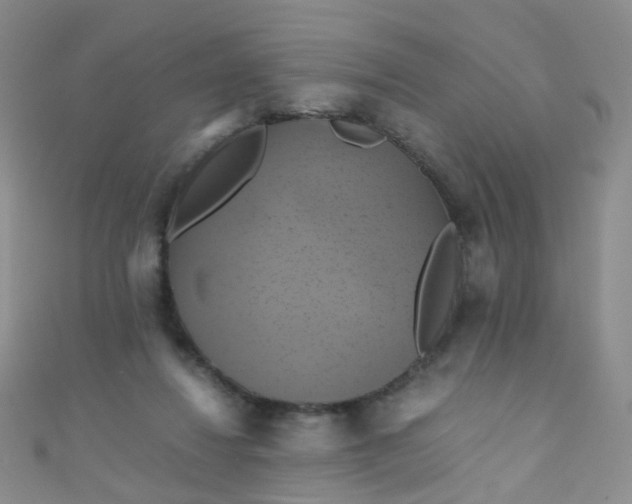X0000110990260200907022122