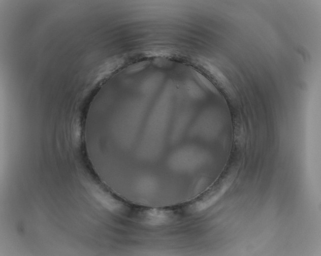 X0000110990261200907022122