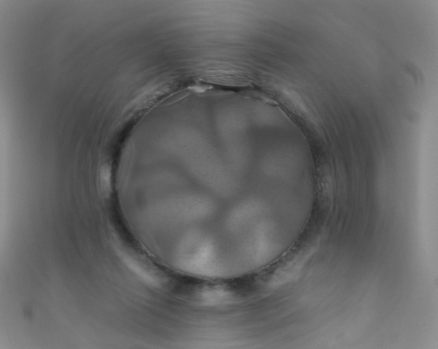 X0000110990262200907022122