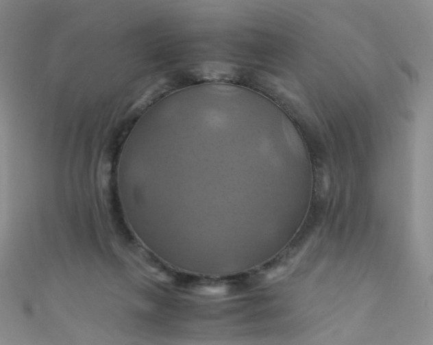 X0000110990263200907022122