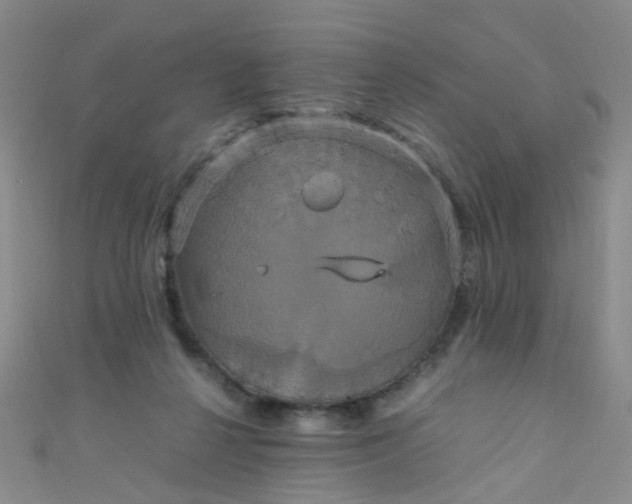 X0000110990264200907022122
