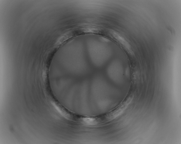 X0000110990265200907022122