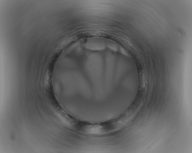X0000110990266200907022122