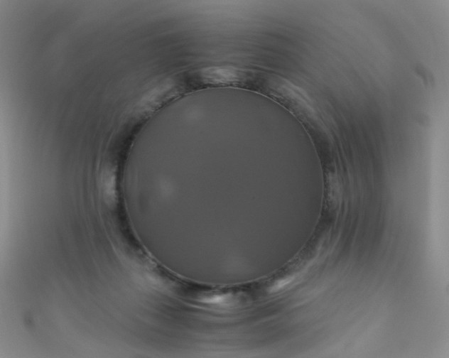 X0000110990267200907022122