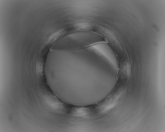 X0000110990268200907022122