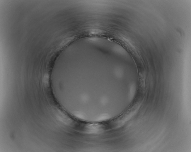 X0000110990269200907022122