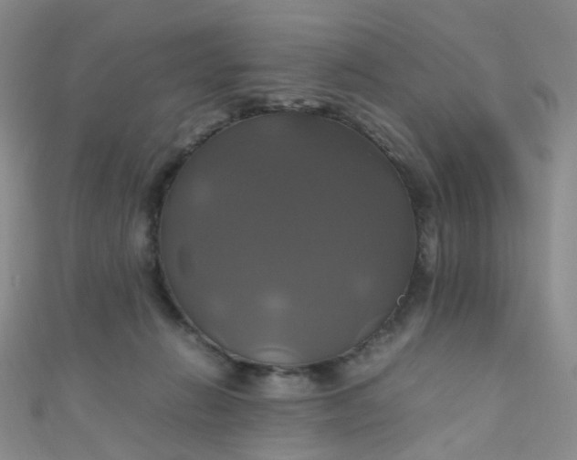 X0000110990270200907022122