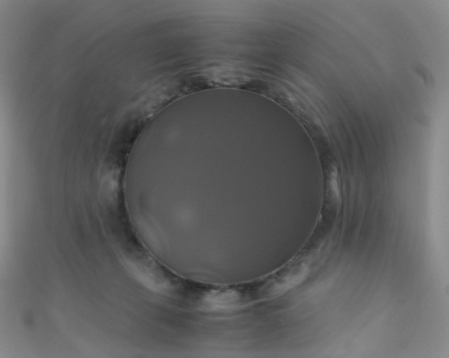 X0000110990271200907022122