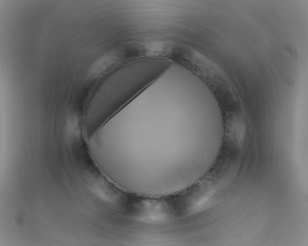 X0000110990272200907022122