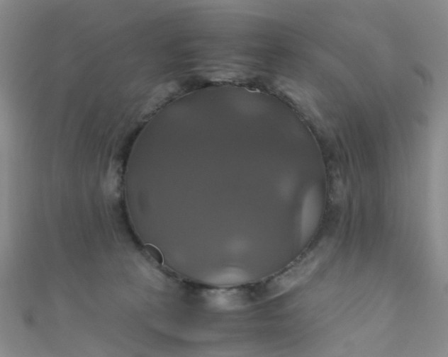 X0000110990273200907022122