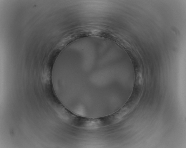 X0000110990274200907022122