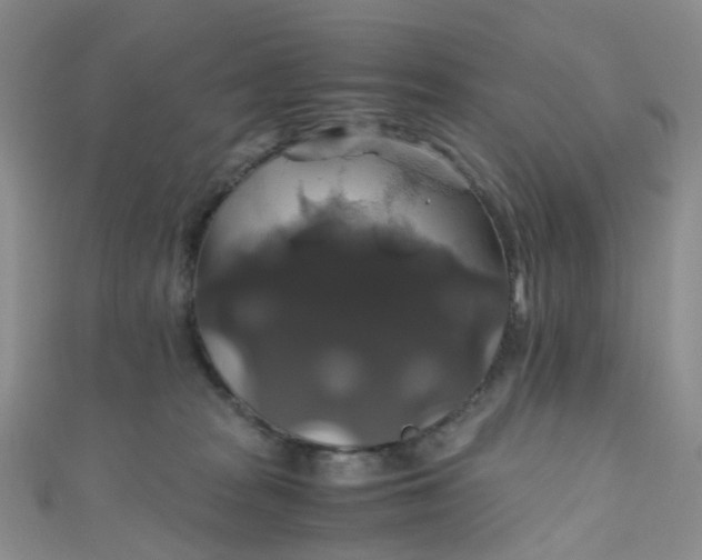 X0000110990277200907022122
