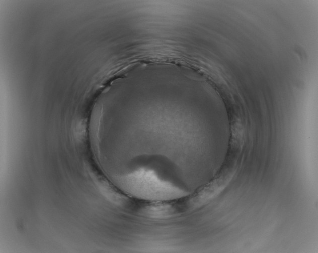 X0000110990278200907022122