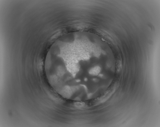 X0000110990279200907022122