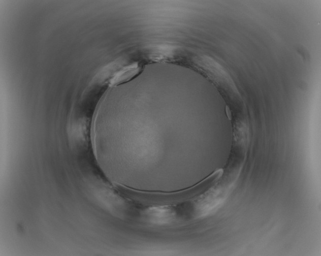 X0000110990280200907022122