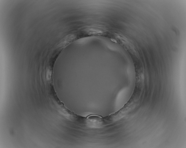 X0000110990281200907022122