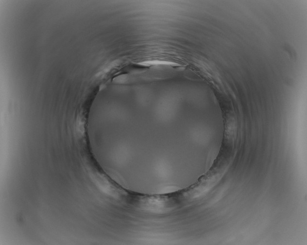 X0000110990282200907022122