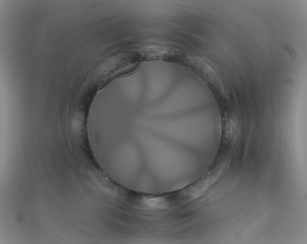 X0000110990283200907022122