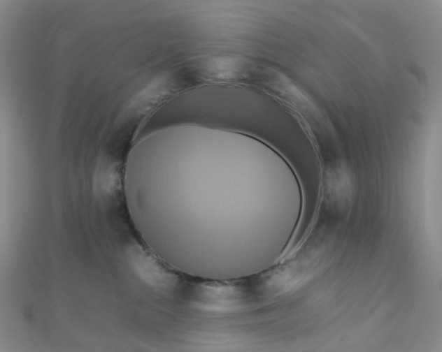 X0000110990284200907022122