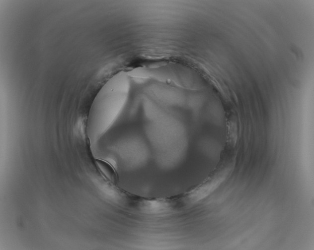 X0000110990286200907022122