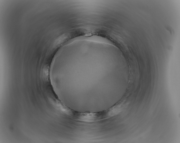 X0000110990288200907022122