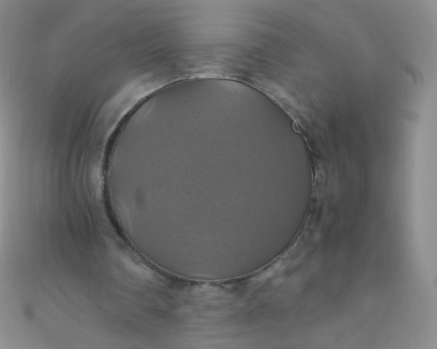X0000110990290200907022122