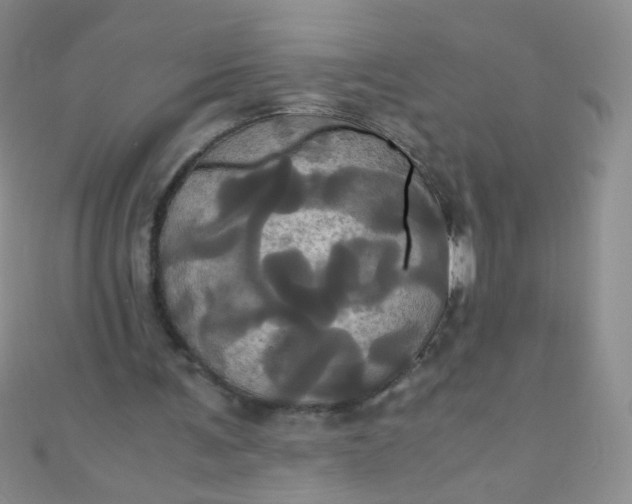 X0000110990291200907022122