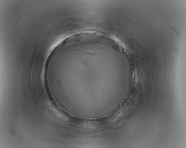 X0000110990292200907022122