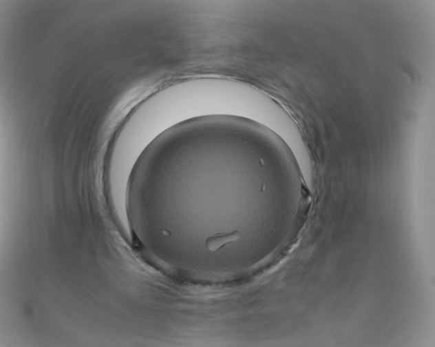 X0000110990293200907022122