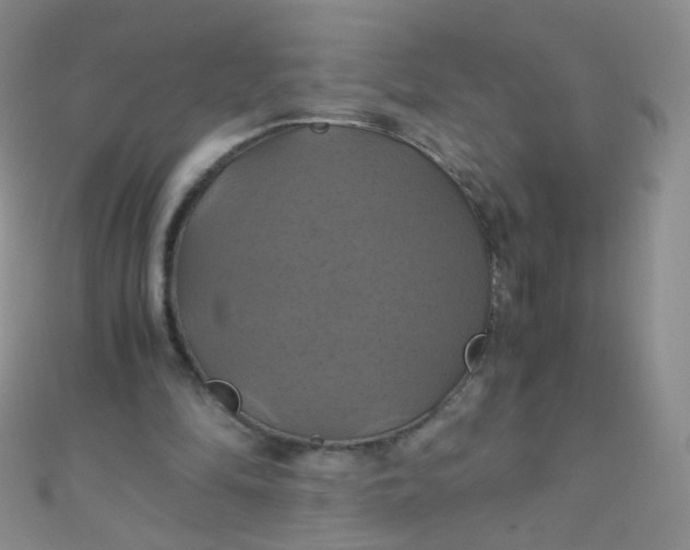 X0000110990294200907022122
