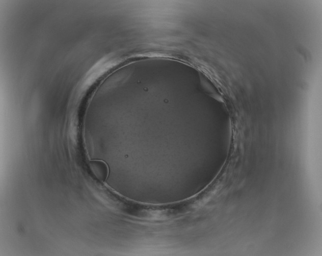 X0000110990295200907022122
