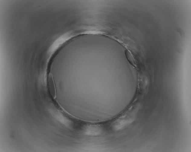 X0000110990296200907022122