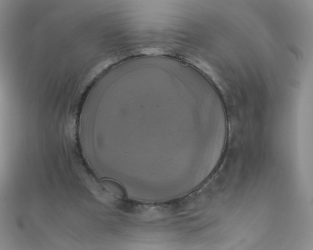 X0000110990297200907022122