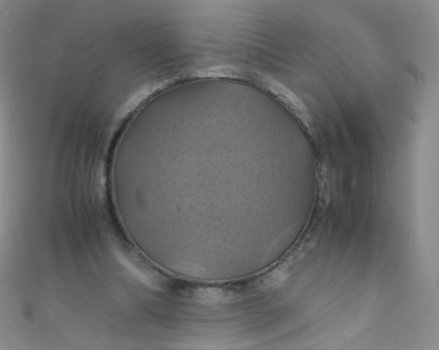 X0000110990298200907022122