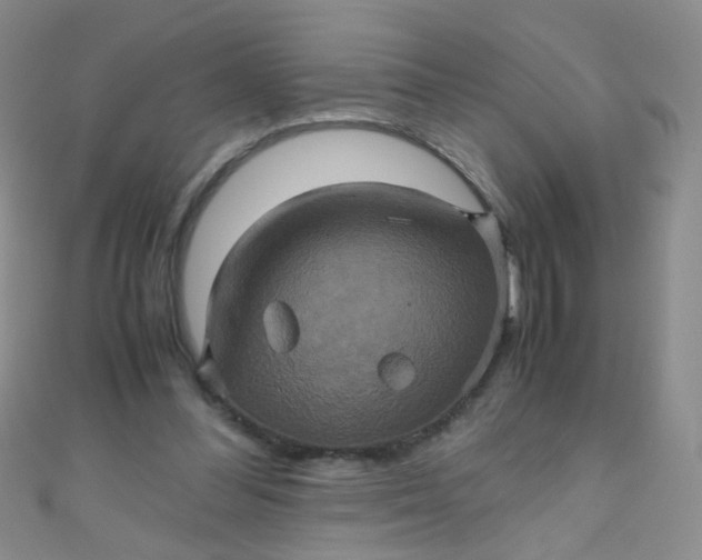 X0000110990300200907022122