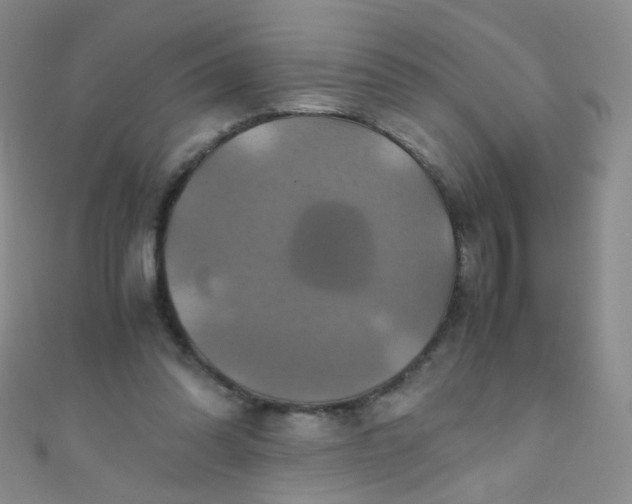 X0000110990302200907022122