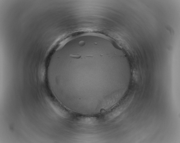 X0000110990304200907022122
