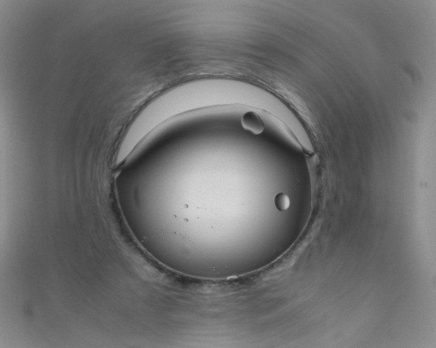X0000110990305200907022122